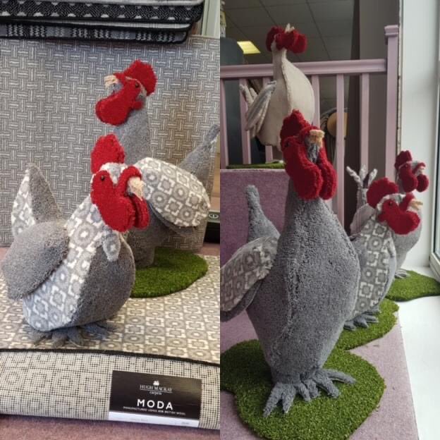 It's not everyday you walk past a clucking good display like this one! 
The creative bunch at <a href="/warmsanctuary/">warm sanctuary ltd</a> have created their own mascots using our carpet! The Moda range never looked so good!
#retail #windowdisplay #creative #carpet #mondaymorning #supportlocal #flooring