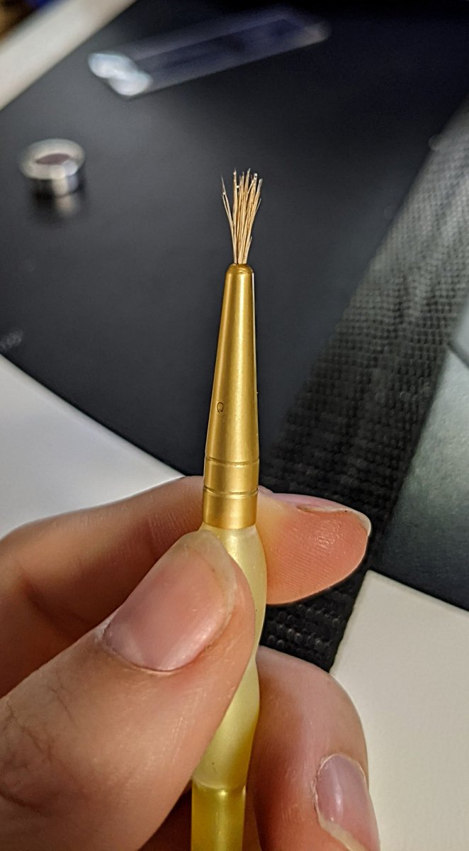 US_SciOD's tweet photo. When we say "micro"fossil, this is how small we are talking. Here is a brush, with #rads (glass skeletons) &amp; #forams (popcorn shaped🍿) stuck in the hairs, for a sense of scale.🧐🖌️🐚
Then, any one of these microfossils can fit 💯s of nannofossils inside them! #Exp395C #IODP @NSF https://t.co/q9FggU7iOA