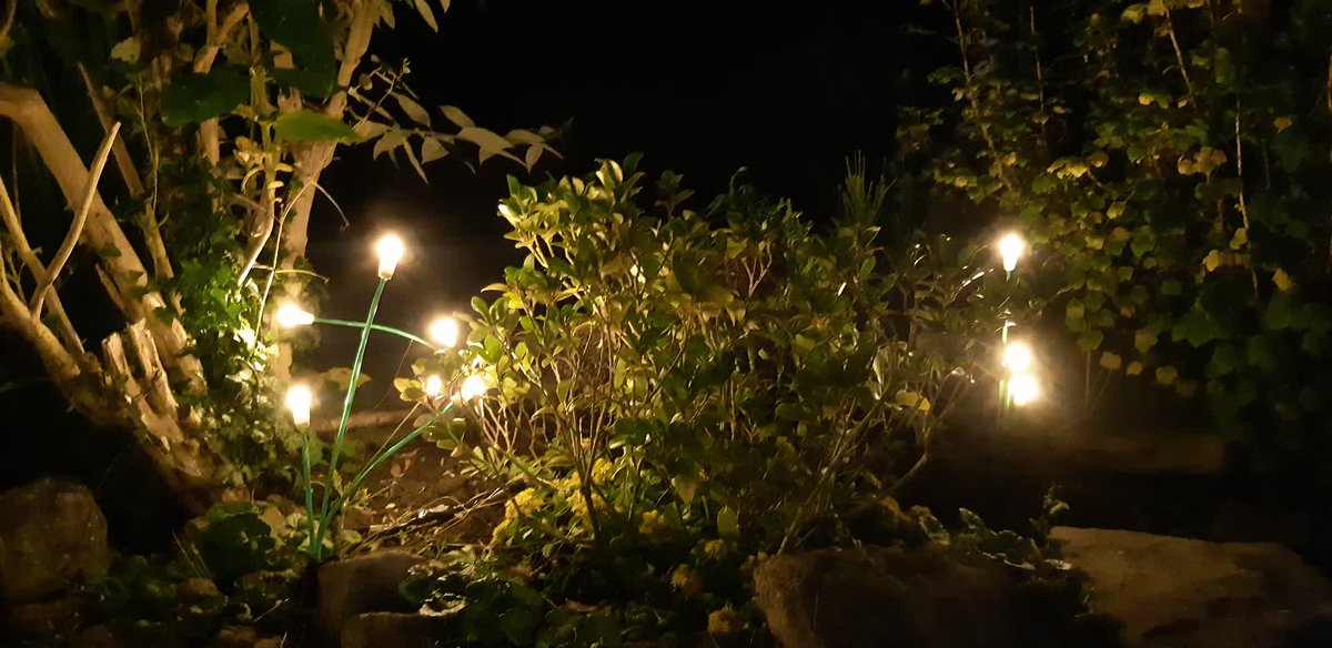 MJLightsTweet's tweet photo. Whilst it's been the warmest of weekends, we have been demo-ing a selection of our #winterlights equipment of which we stock a wide range. Organising a winter event? Please get in touch 👍💡 https://t.co/4fsvZgHY9d