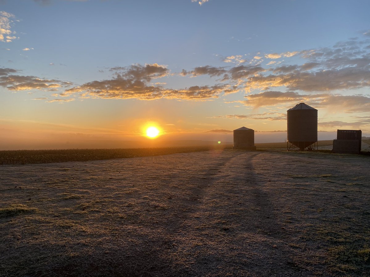 LauretaWallace's tweet image. After a traumatic experience trying to access my original Twitter account (a saga which started with a new phone &amp;amp; inc. trying unsuccessfully to gain access to an 10+ yr old uni email address 🤯) I’ve given in &amp;amp; am starting afresh. Please help me reconnect with my people! #ausag