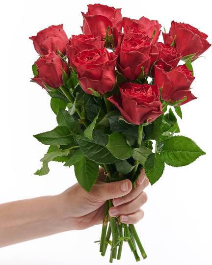 krannoot's tweet photo. Om het dagelijks #twitterchagrijn te doorbreken ga ik met de regelmaat van een klok wat #toptweeps in de bloemen zetten! Vandaag zijn dit, @xmarriex @akbaspinar @DomiSGT @SagaertBert #vieropeenrij https://t.co/0j1sXRB0q8