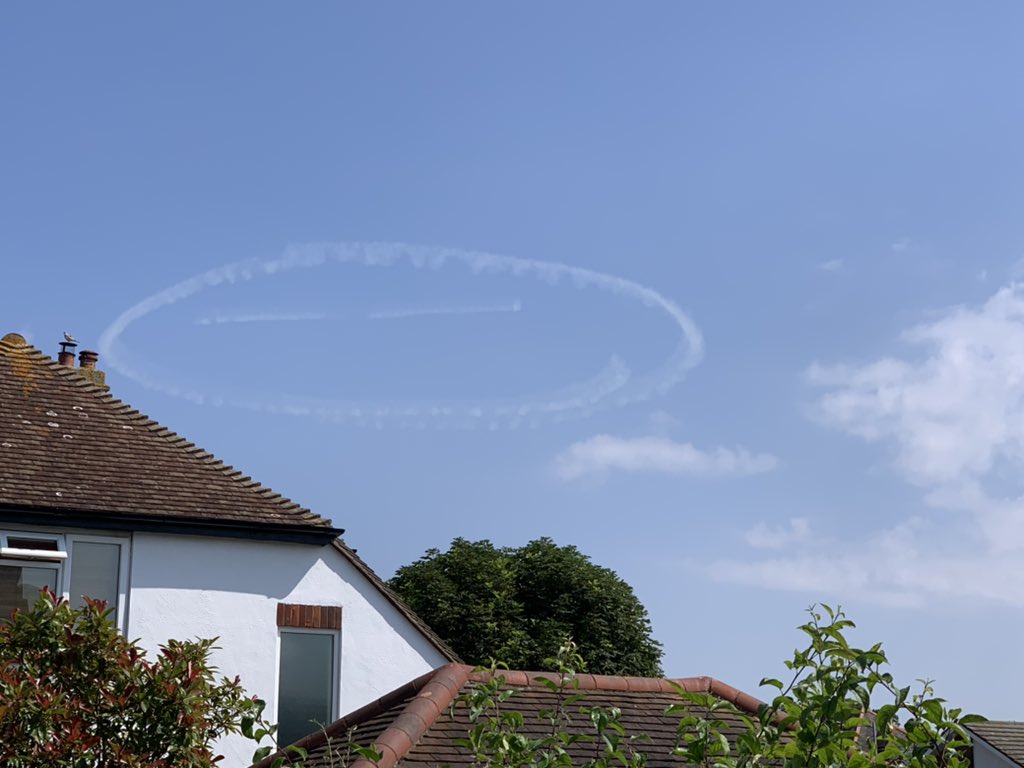 Andrea Tapp tweet media