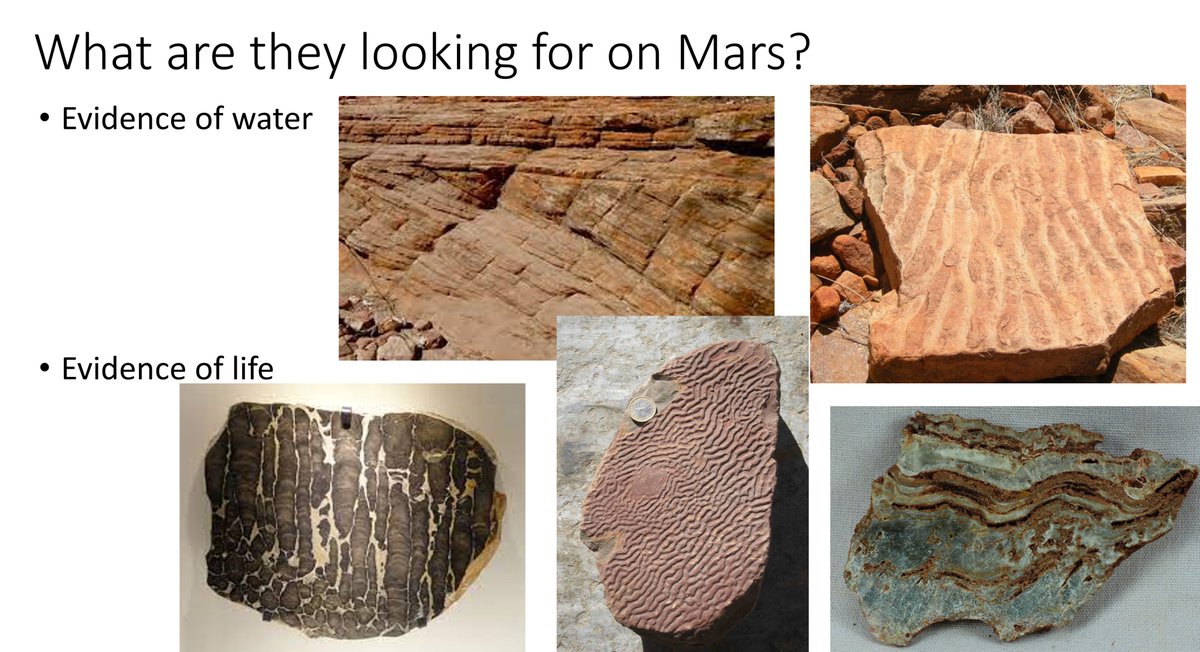 VeetheRockChick's tweet photo. Had a great time chatting to the Y10 Cosmology classes at Alfred Deakin High about how Earth's geological record is telling scientist what to look for when search for #LifeOnMars and sharing with them my rock collection #RippleMarks #stromatolites 

#SuperstarsOfSTEM #SchoolVisit https://t.co/2jFb9leRLt