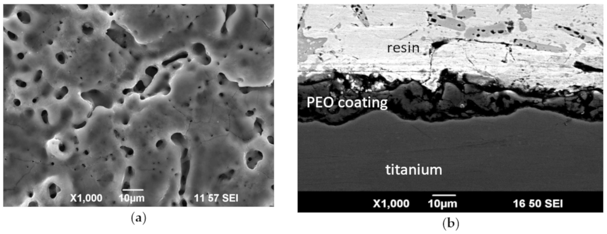 Molecules_MDPI's tweet photo. #HighlyCitedPaper #HighlyAccessedPaper
Biocompatible Organic Coatings Based on Bisphosphonic Acid RGD-Derivatives for PEO-Modified Titanium Implants
By Lyudmila V. Parfenova, et al.
👉https://t.co/BiXVamYwzK
#titaniumimplants
#fibroblasts
#osteosarcoma https://t.co/F9iknK9K7d