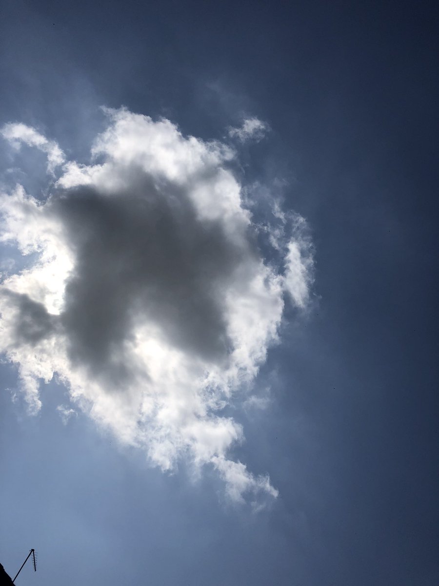 nkh12349's tweet photo. Oi move out the way cloud! Trying to catch some rays here! How’s your Monday going? X

#mondaythoughts #MondayMorning #comeonsun #sunbathing #garden #relax #timeforcocktails #maybe #bekind #smile https://t.co/6TvjQ1JWYE