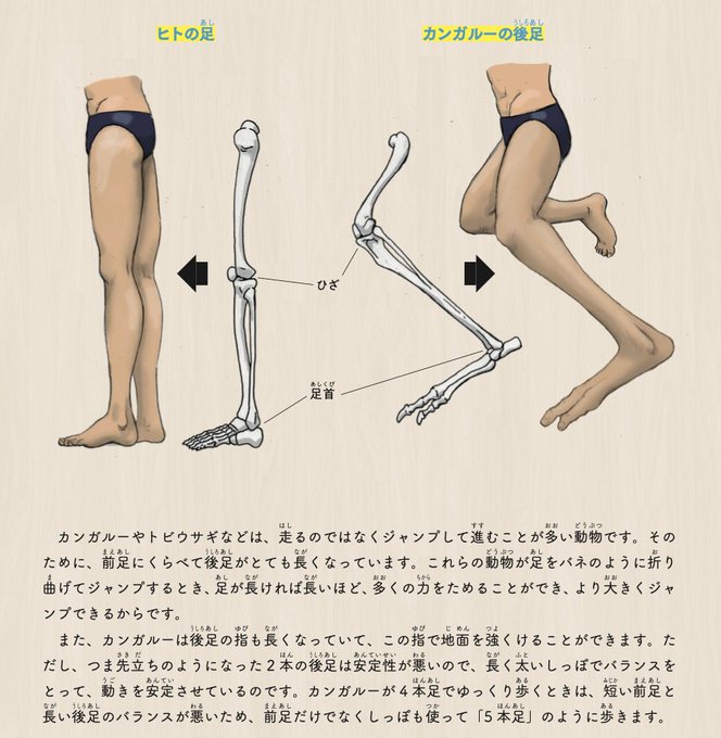 大きくジャンプのtwitterイラスト検索結果 大きくジャンプのtwitterイラスト検索結果