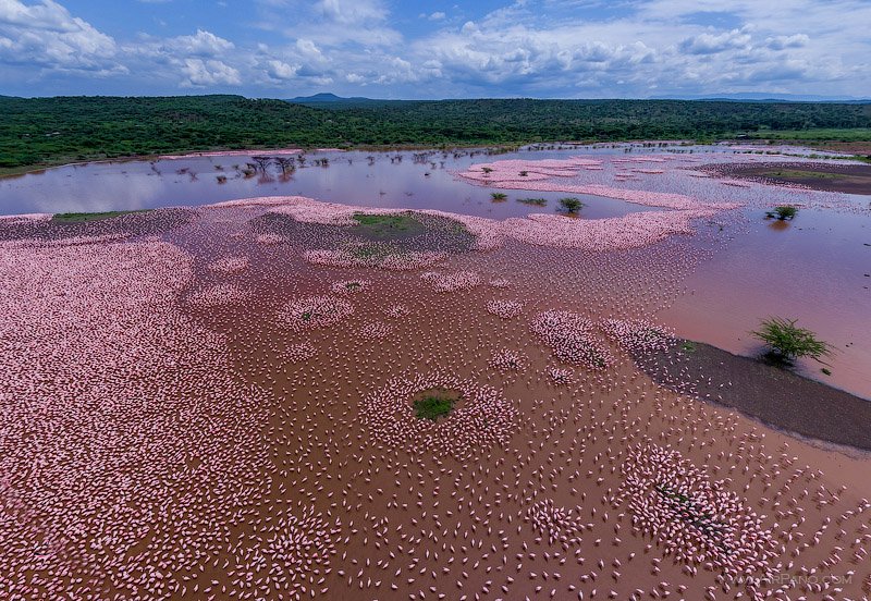 paukwa's tweet photo. Lake Bogoria. 
The lake's name comes from the Endorois community that lives along its banks. Bogoria means “the place of the lost tribe”.

Photo ©️ Air Pano
#KeHeritageSites https://t.co/w1Q7V9W4pA