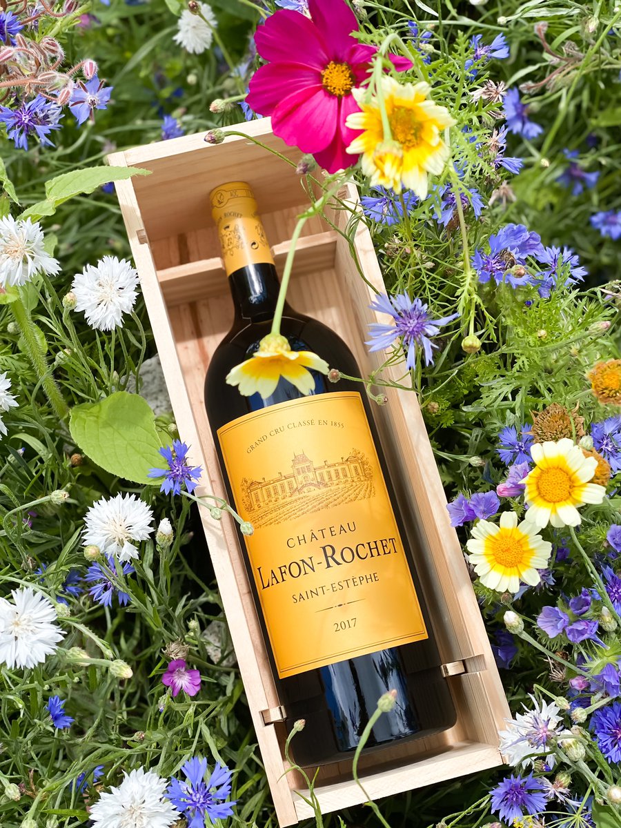 LafonRochet's tweet photo. ⁣🌺 Quand la 𝐛𝐨𝐮𝐭𝐞𝐢𝐥𝐥𝐞 s’harmonise parfaitement avec la 𝐣𝐚𝐜𝐡è𝐫𝐞 𝐟𝐥𝐞𝐮𝐫𝐢𝐞 du potager 🌼
—
🌺 When the 𝐛𝐨𝐭𝐭𝐥𝐞 match perfectly with the 𝐟𝐥𝐨𝐫𝐚𝐥 𝐟𝐚𝐥𝐥𝐨𝐰 from the garden 🌼⁣⁣
#ChateauLafonRochet #LafonRochet #SaintEstephe #bordeauxwines https://t.co/zsG7m06ztF