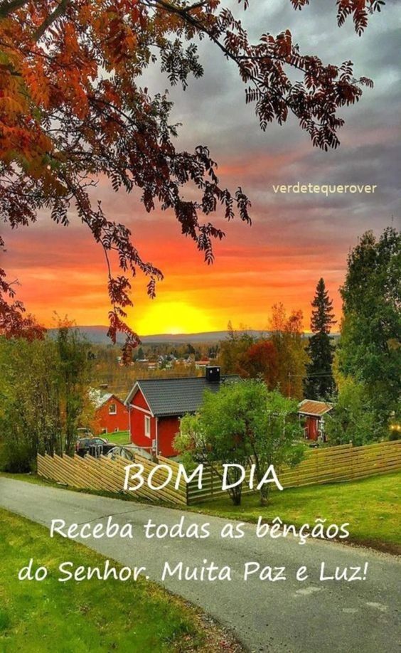 Ronalva8's tweet image. 