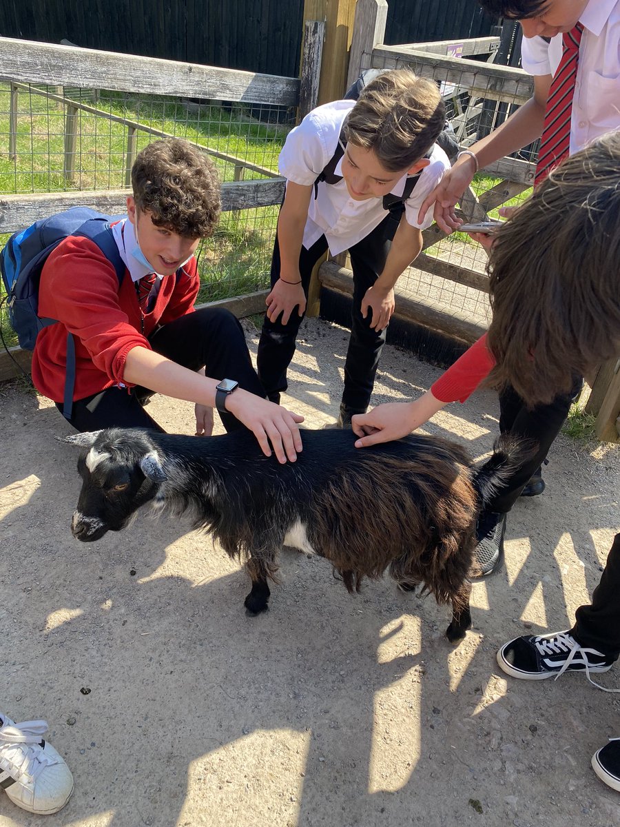 A beautiful day at Whipsnade Zoo celebrating our students who have consistently got it right this year! #prioryproud #year8ontour