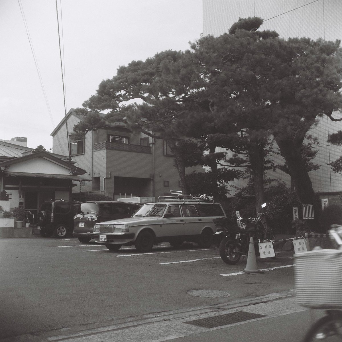 Ggrty17's tweet photo. 60年前のカメラ、とりあえず使えるみたいです。なんとか写ってました。
ピントもそこそこ合ってるようです。

凄いなリコーフレックスⅥ！
ありがとうチャンプカメラさん！

さて、これからどう使うか…

#チャンプカメラ
#リコーフレックス https://t.co/cNCakNkTk9