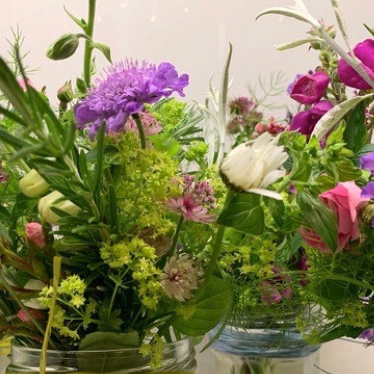 silkmuseummacc's tweet photo. Only 5 days till the Summer of Art! The Grand Opening will be on Sat 24 July, 3-4.30pm in the museum's 'Art School Garden' in Old Park Lane. Live music from singer-songwriter Helen Walford; jam-jar posy-making; &amp; refreshments from the museum café! #TimeToGetCreative #SummerOfArt https://t.co/KretRYBTrZ