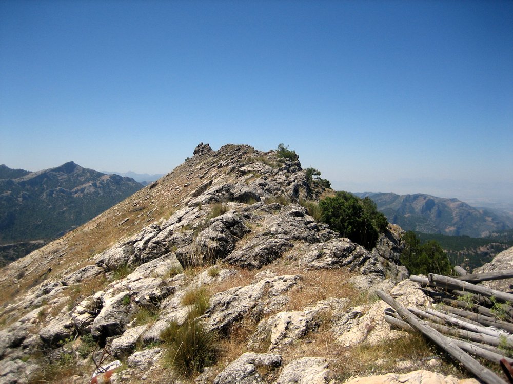 QuebrantaPNCazo's tweet photo. Hoy os dejamos con la ruta al pico de Caballo Torraso, un maravilloso sendero que nos enseña la diversidad de paisajes que atraviesa, su fauna y unas magníficas vistas de nuestro #parquenatural.
📲https://t.co/H5cwGdoxCm
#turismodenaturaleza #GR247 #BosquesdelSur @dipujaen https://t.co/5AlqGKkUOq