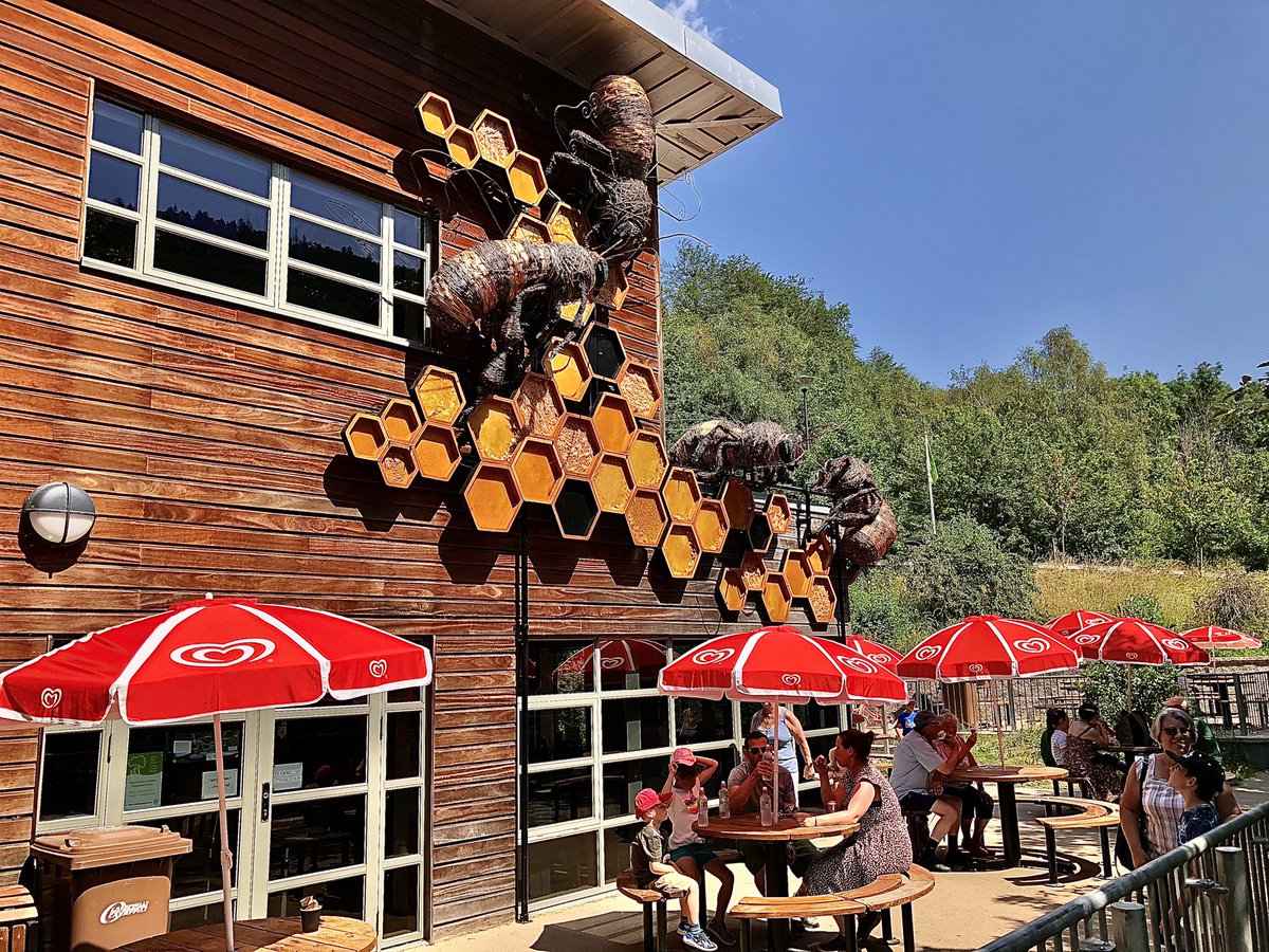 Michael Enea tweet media