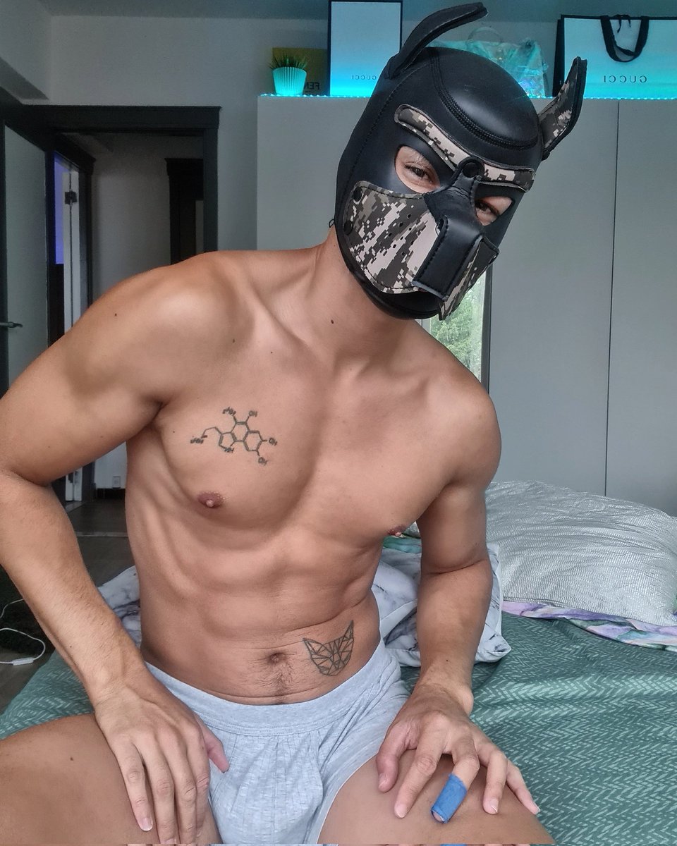 MaximilXL's tweet photo. Woof woof #puppy #Master #gayporn #LGBTQ #Twitter #instagram #FolloMe #abs #hot #tattoo #gayhunk https://t.co/opQYX2CtTB