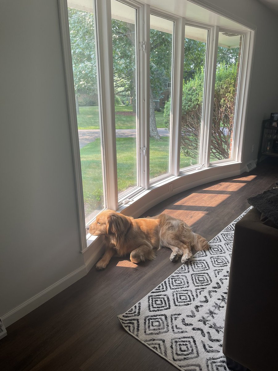 lyonsc93's tweet image. Sunspots and window views&amp;gt;&amp;gt;&amp;gt;

cc: @BarstoolBigCat