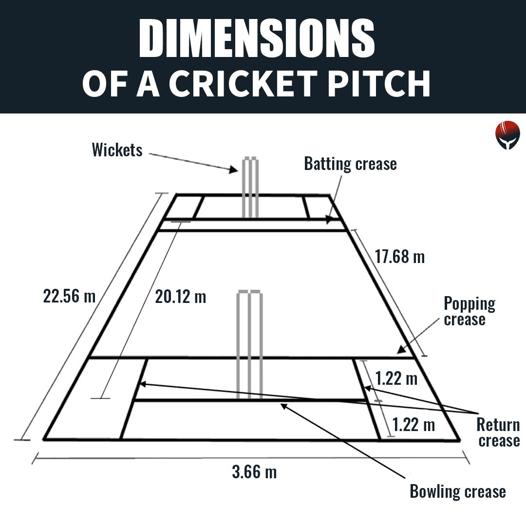 Cricket Pitch Dimensions Drawings Dimensions Com vrogue.co
