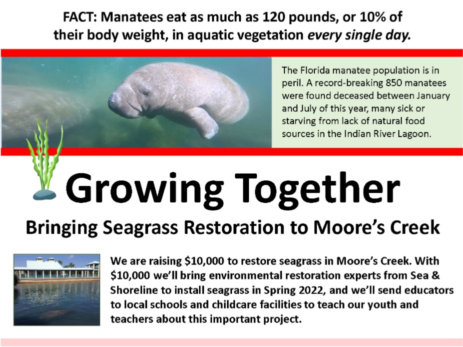 ManateeCenter's tweet photo. Support seagrass restoration in Moore's Creek starting at noon TODAY - https://t.co/hKkx9rNpsV https://t.co/VzKJGro5CE