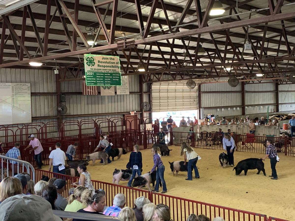 “On the road again...” Today’s trek south on I69 takes us to @DelawareCo_4H. Watching a great swine show and more #FutureForesters!