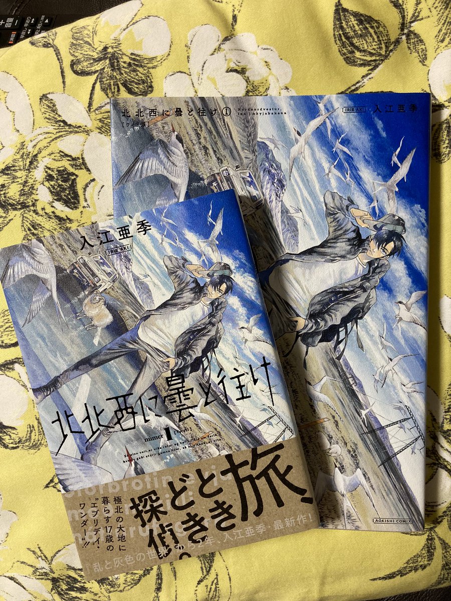 みふもとうとりあ 入江亜季 さんの 北北西に曇と往け がワイド版で刊行されてた 雑誌サイズのb5よりちょっと小さいけど従来のb6の単行本よりはデカい大判 箱入り カラーも再現 カッコいいという言葉がホントによく似合う漫画だから大判で読むとさらに