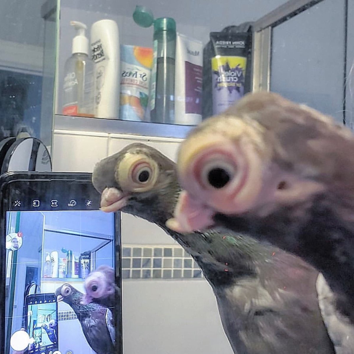 Felt cute might delete later idk