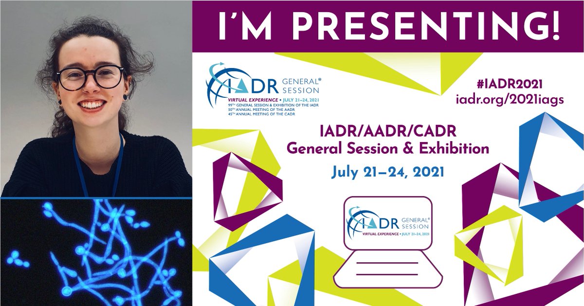 I'm excited to be presenting my work on the TLO gene family of Candida albicans at #iadr2021 this week. I'm taking part in the Hatton Competition, and you can check out my poster on Thursday (Senior Basic Science Category: IADR Hatton Competition II).