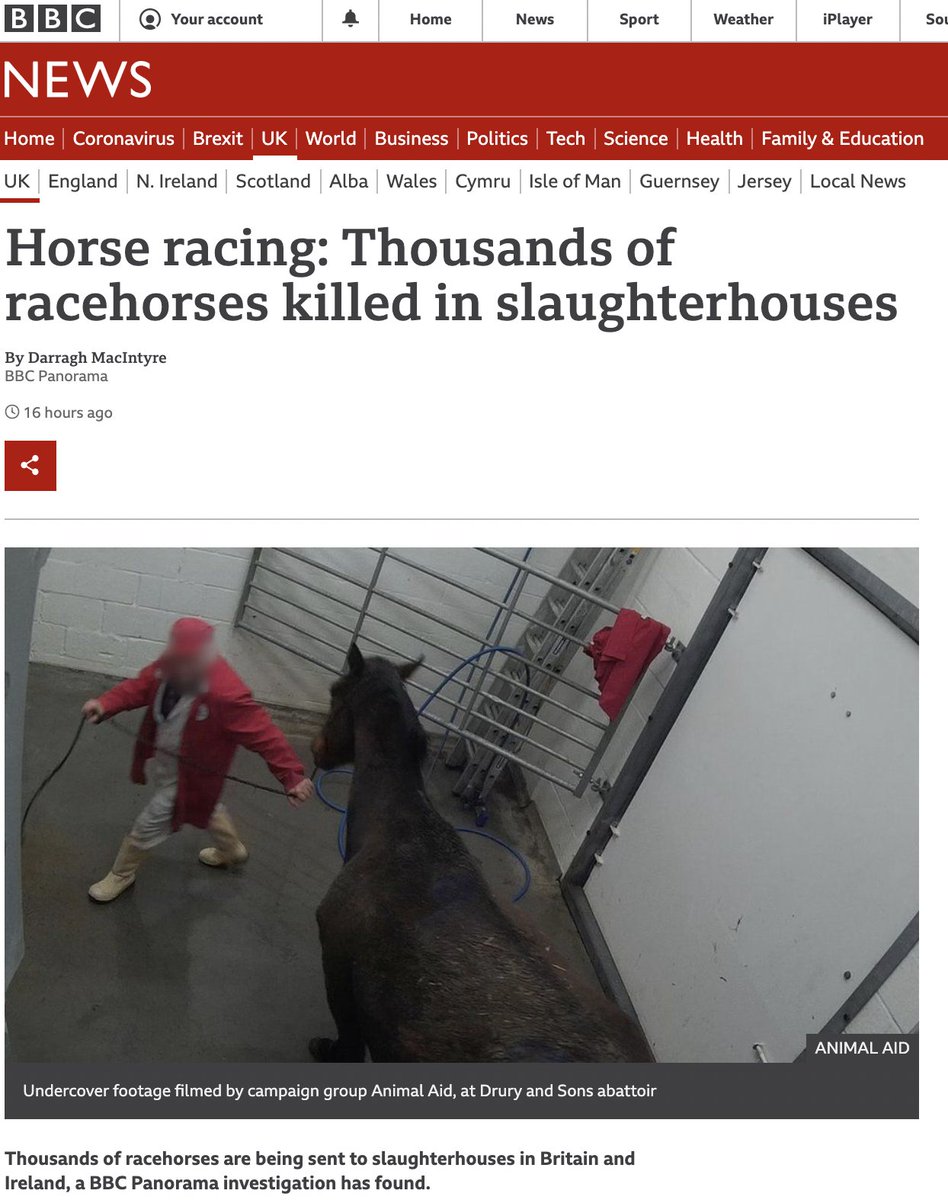 Please watch tonight's #BBCPanorama at 8.30pm. We can stop this abuse - but we need your help! Please sign and share our petition to end #horse_slaughter in the UK - animalaid.org.uk/horse-slaughte… #DarkSideofHorseRacing #AnimalAid #PleaseRT #onlinepetition #pleaseshare