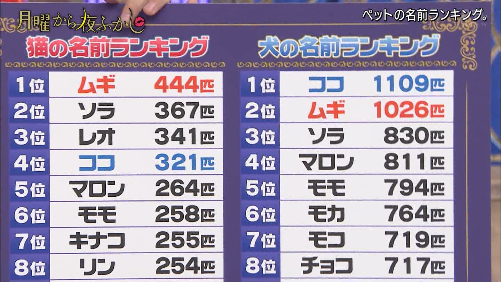 ゆくブラっ ペットの名前ランキング 猫の1位はムギ 犬の名前1位はココでした 月曜から夜ふかし ゆくブラっ ペットの名前ランキング 猫の1位はムギ 犬の名前1位はココでした 月曜から夜ふかし