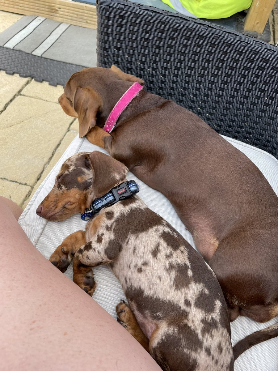 Chillin in the shade 💕