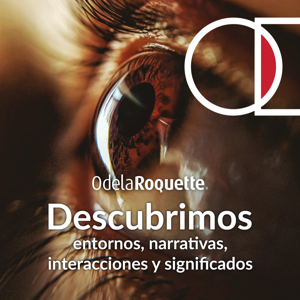 OdelaRoquette's tweet photo. ¡#OdelaRoquette se transforma! Descubre el #EspírituODLR:
#Consultoría

#Marketing #Knowledge https://t.co/SnRZFAKY3h