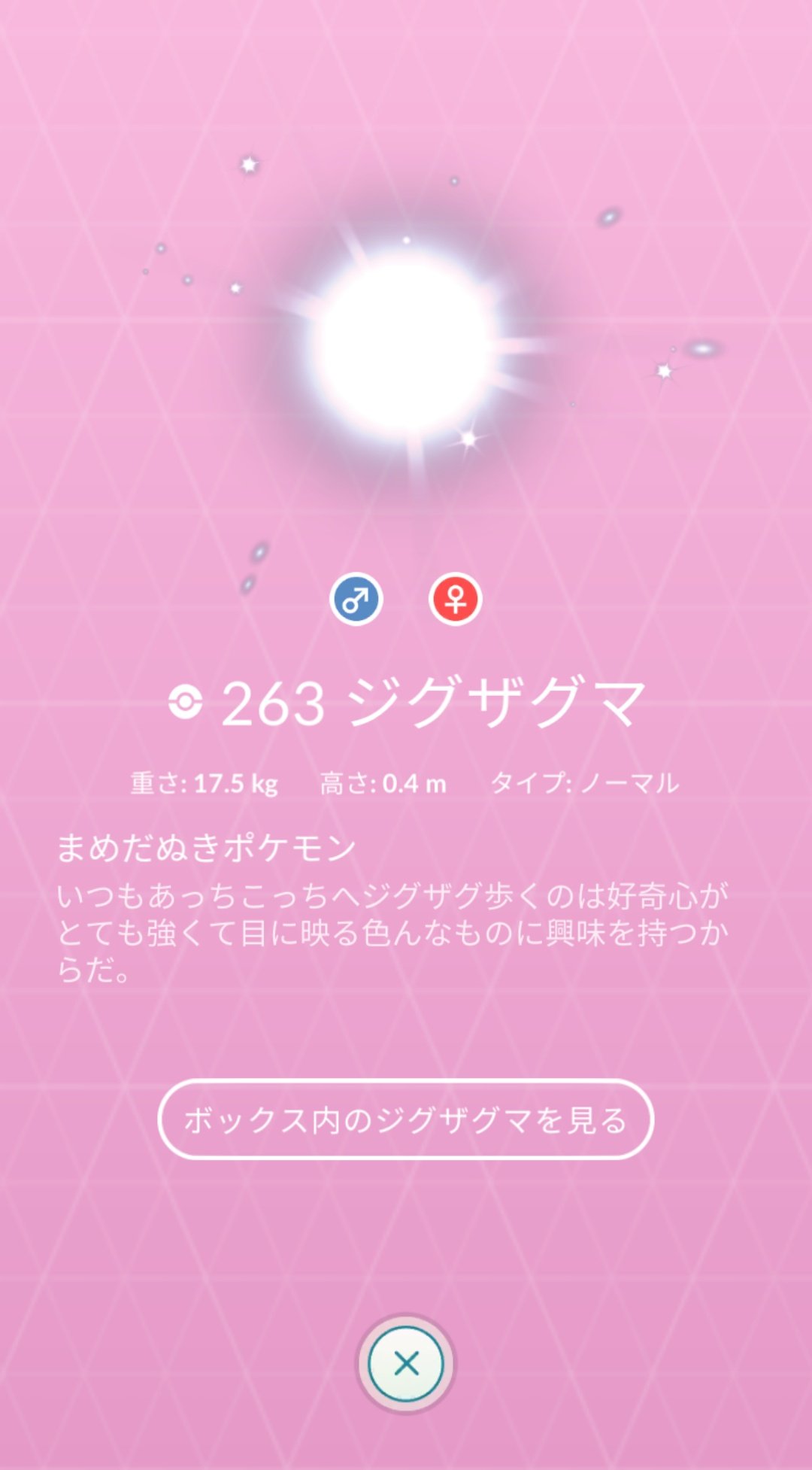 杏梨 ポケモンgoの図鑑の とくしゅ を見たら ジグザグマ ホウエン がいて えっ 私特殊なジグザグマを剣盾に送っちゃった と思って どんなジグザグマだったのか確認しようと思ったら ジグザグマ ホウエン は概念だった このキラキラした状態で