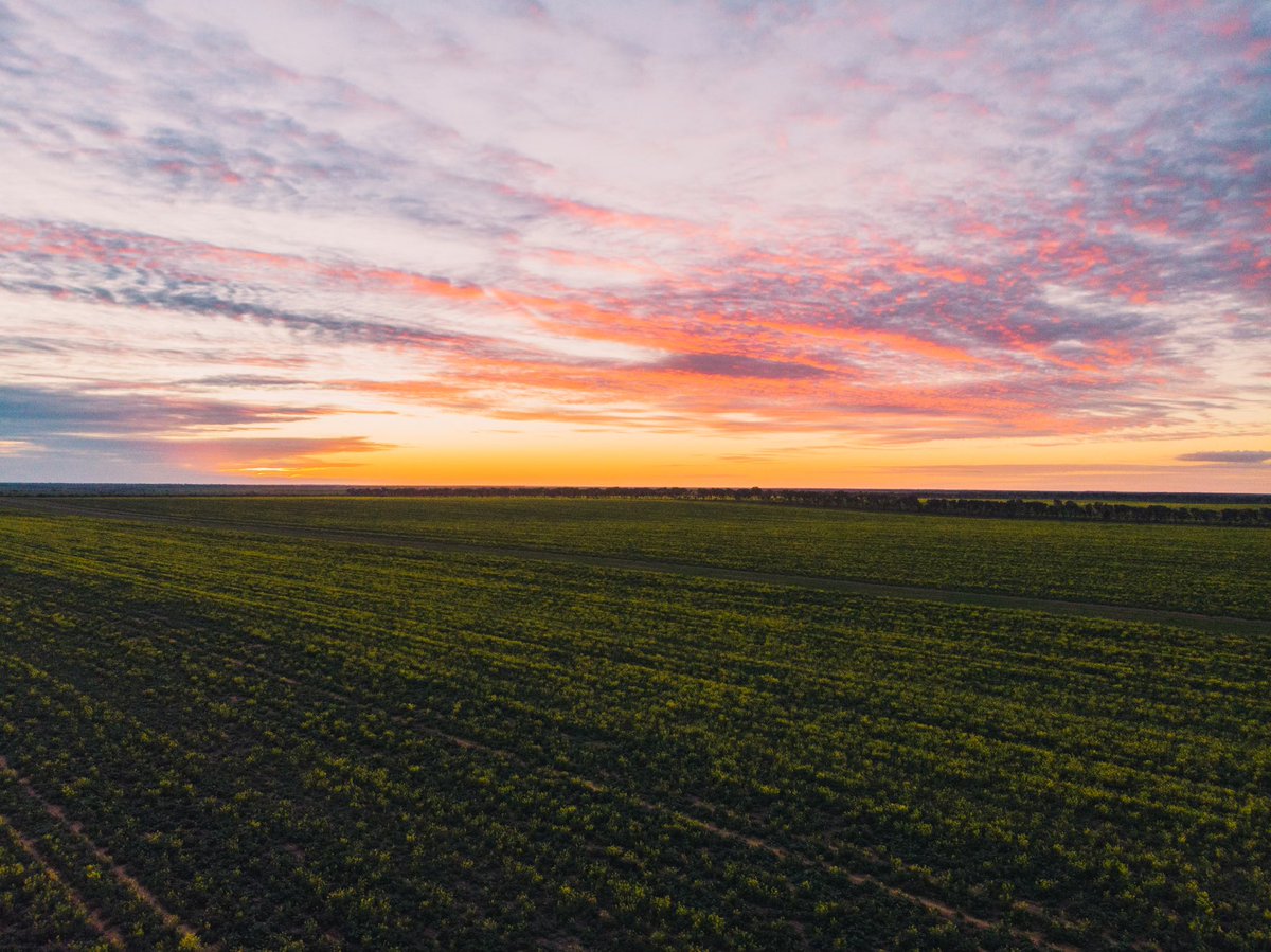 Independent Rural tweet media