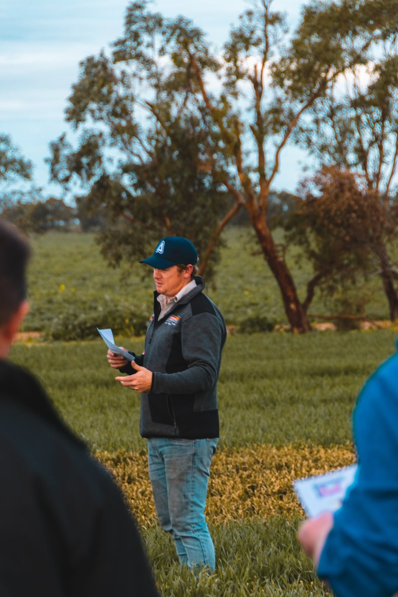 Independent Rural tweet media