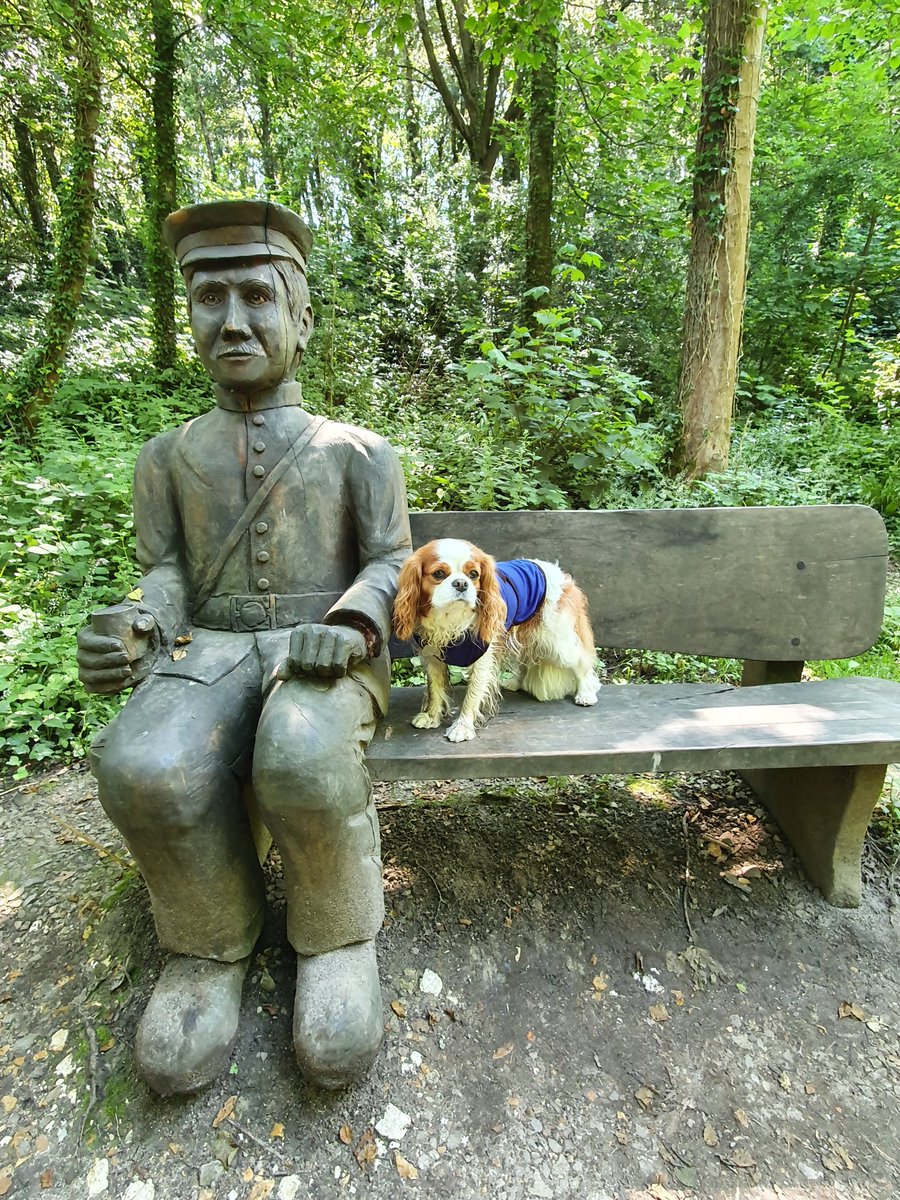 Florencecavpack's tweet photo. who's dis sat next to me? 🤔 #fortvictoria #IsleofWight https://t.co/RDdpyZBylL