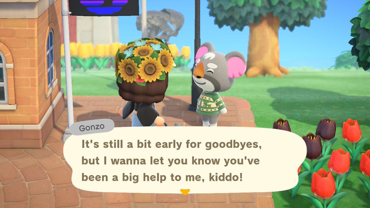 NinDasom's tweet photo. Gonzo is leaving! He has a cute house and is pretty nice #villagertrade #villagerinboxes #ACNH #animalcrossingnewhorizons https://t.co/nCDcUp1uTT
