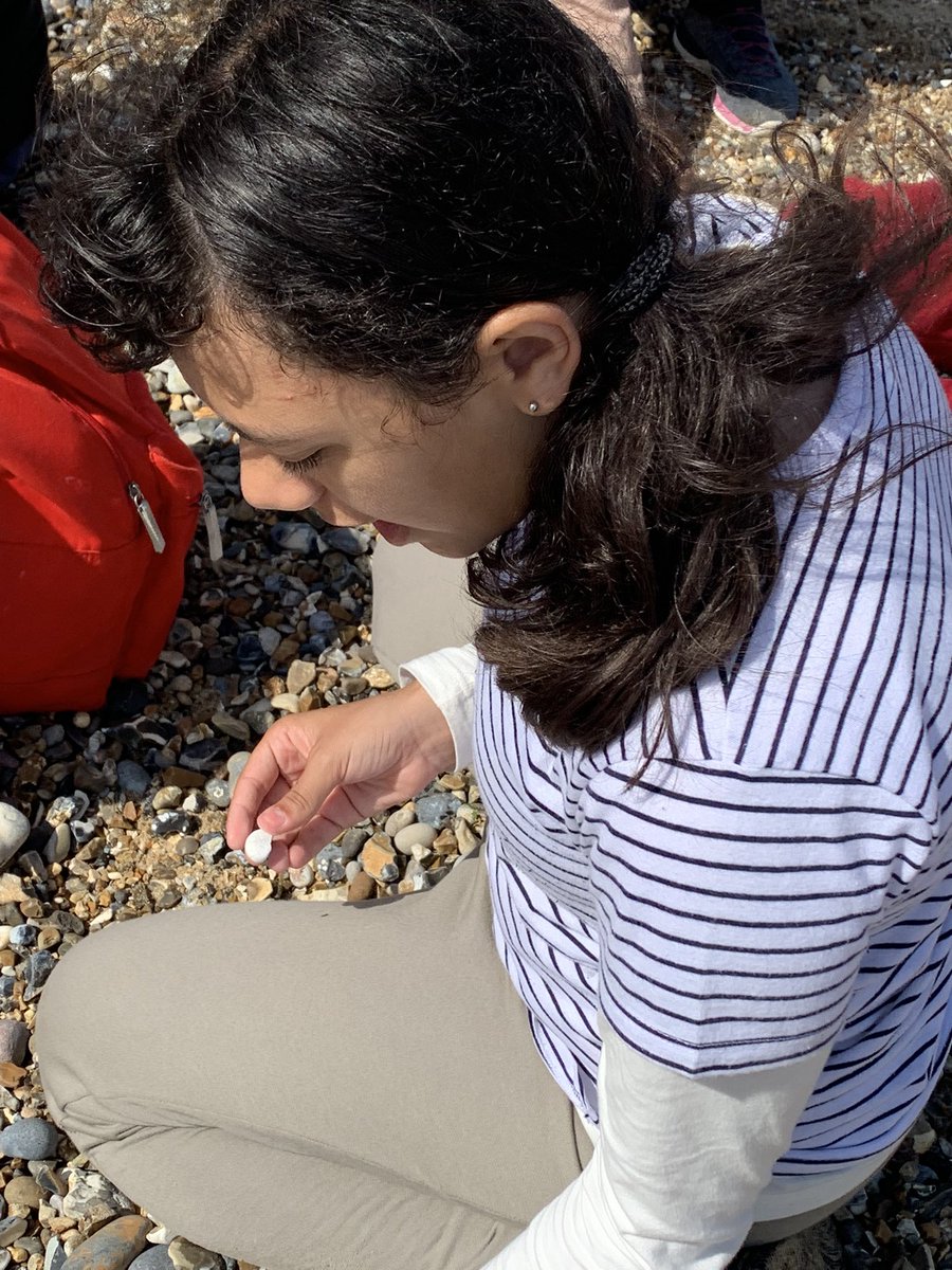 upperKS2's tweet photo. Last day on the beach. @mandeville_AL1 https://t.co/4rAB4FUFTm