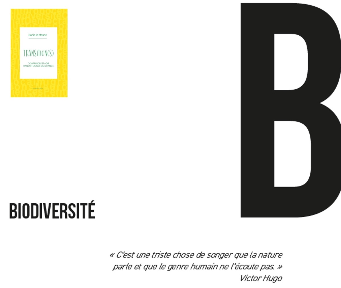 [EXTRAIT]🌱🐝 Tant que nous n’aurons pas compris l’interdépendance qui nous lie au reste du vivant, serons-nous vraiment capables d’en préserver la diversité ?    Mon livre TRANSITION(S) [Sonia le Masne] est disponible auprès de votre libraire et sur toutes les plateformes.