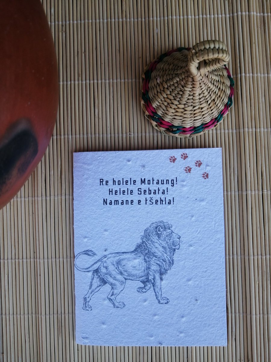 LinaleliC's tweet image. To commemorate the Basotho new year, we have launched an exciting range of cards 🌱
The #LibokoLeBoitsebo cards feature 5 Basotho clans (more clans will be added throughout the year)
Now available at Pick n Pay Pioneer AND Masianokeng
🇱🇸🇱🇸🇱🇸🇱🇸🇱🇸 #LsTwitter #Sesothofesheneng