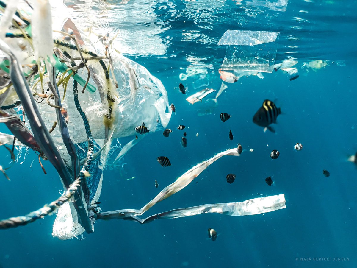 Il y aura bientôt plus de plastique dans les océans que de poissons. On parle même du « continent plastique », il se situe dans le Pacifique. J’appelle à un accord global contre les plastiques et à développer des aires maritimes protégées dans le Pacifique.