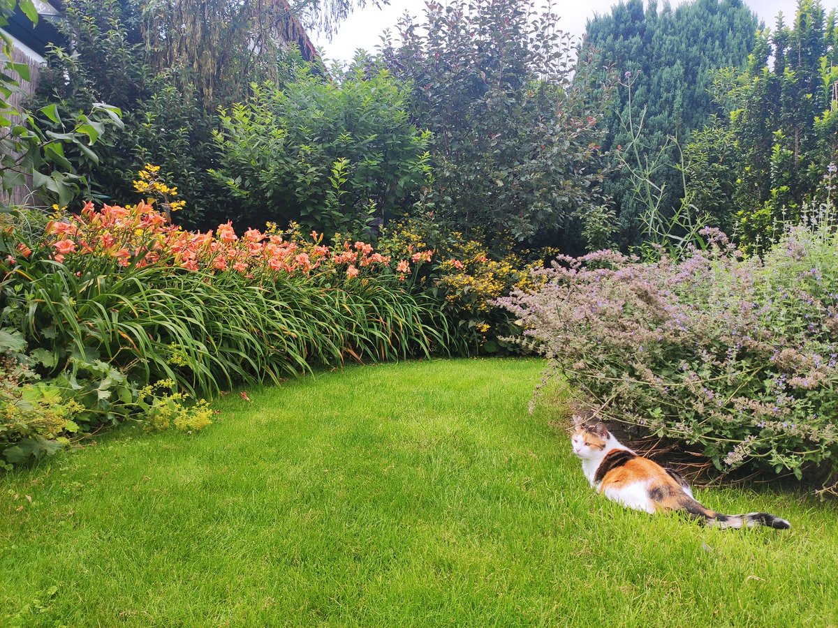 ถ้าแม่ออกมาสวนต้องรีบวิ่งตาม