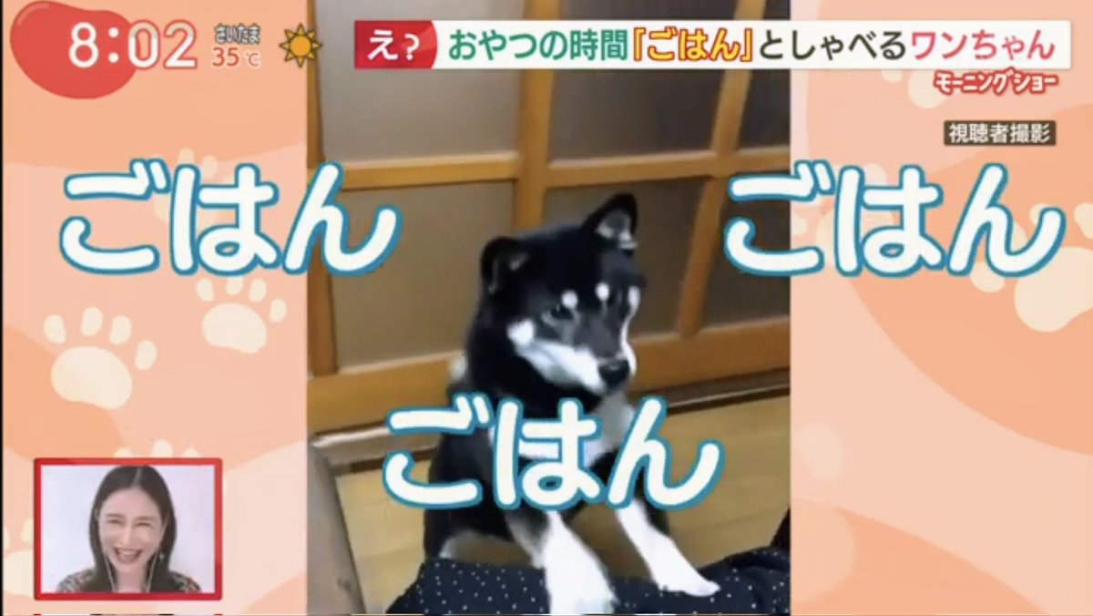 Twitter ನಲ ಲ 山口真由 ಹ ಯ ಶ ಟ ಯ ಗ