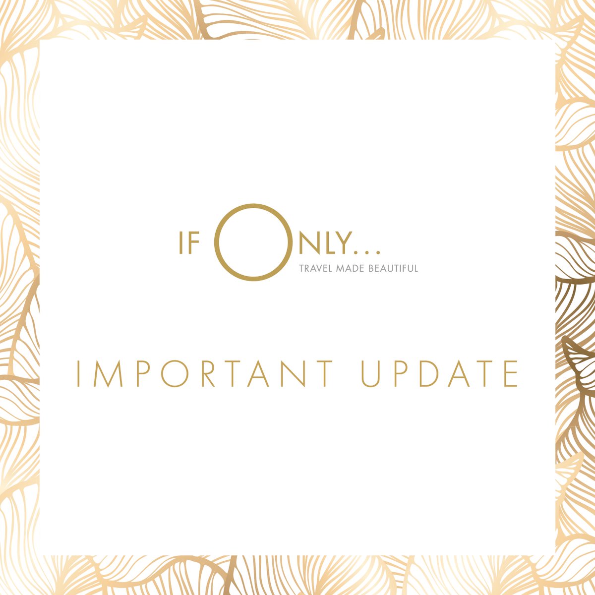 If Only... Partners tweet media