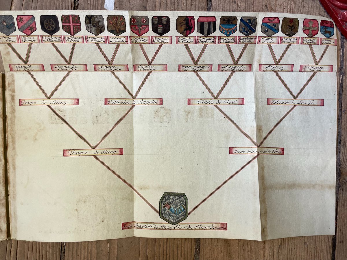 wilsberg's tweet image. Genealogisches Manuskript De Streng D'Arenenberg. - de Streng D'Arenenberg, Jean-Baptiste Francois-Sales: Extrait Abregé Des Preuves de Noblesse de Jaen-Baptiste Francois-Sales De Streng D'Arenenberg. o.O. o.V., 1779. 39 Seiten kalligraphierte #Genealogie #Arenenberg