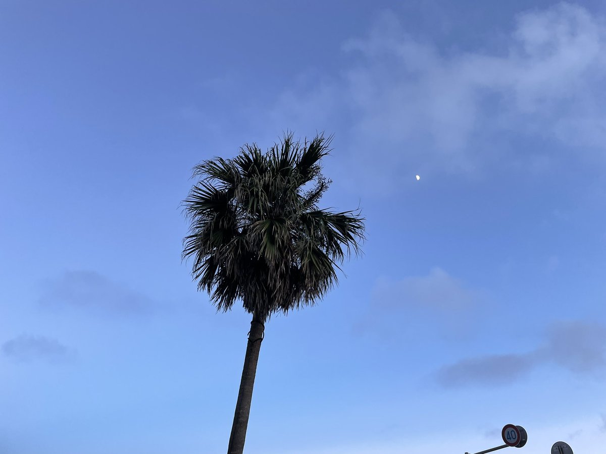 何気ない景色が綺麗な最近