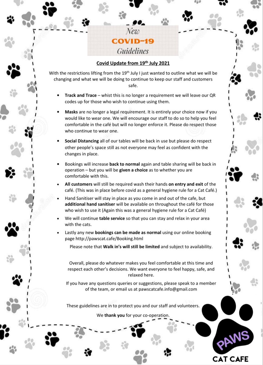 Paws Cat Cafe tweet media