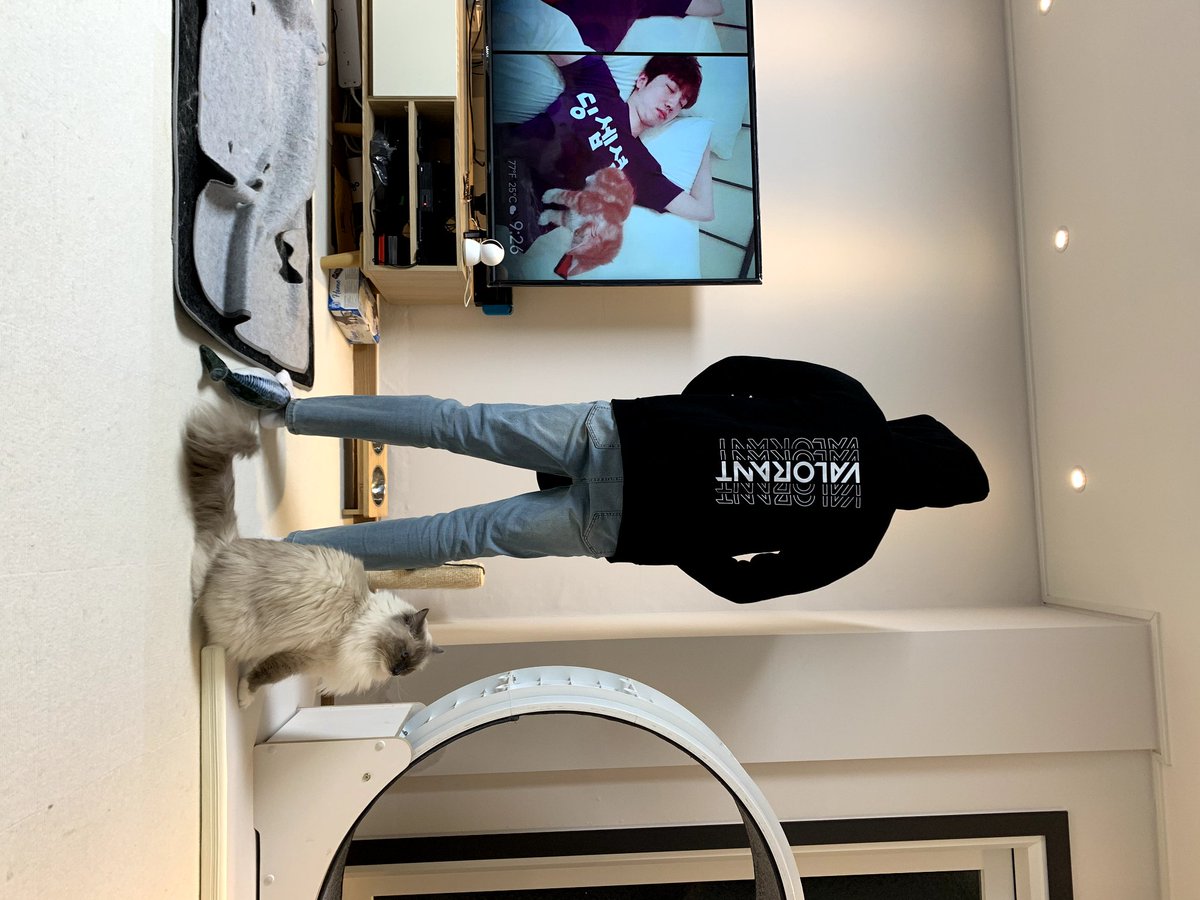 dingception tweet picture