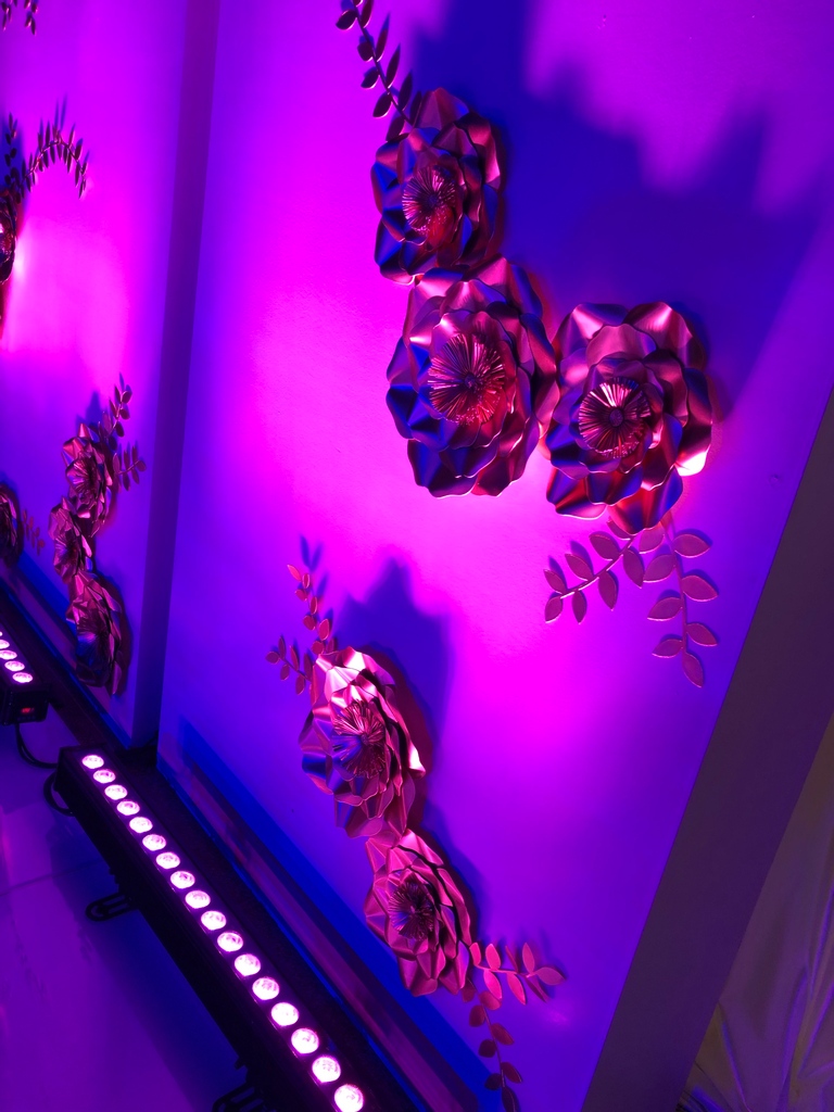 Roses and shadows
.
.
.
.
#seaveventtechnology #technology #eventtech #party #events #design #productioncompany #lightingnerds #eventinspiration #eventdesign #eventprofs #corporateevents #proav #eventproduction #lightingeffect #corporateevent