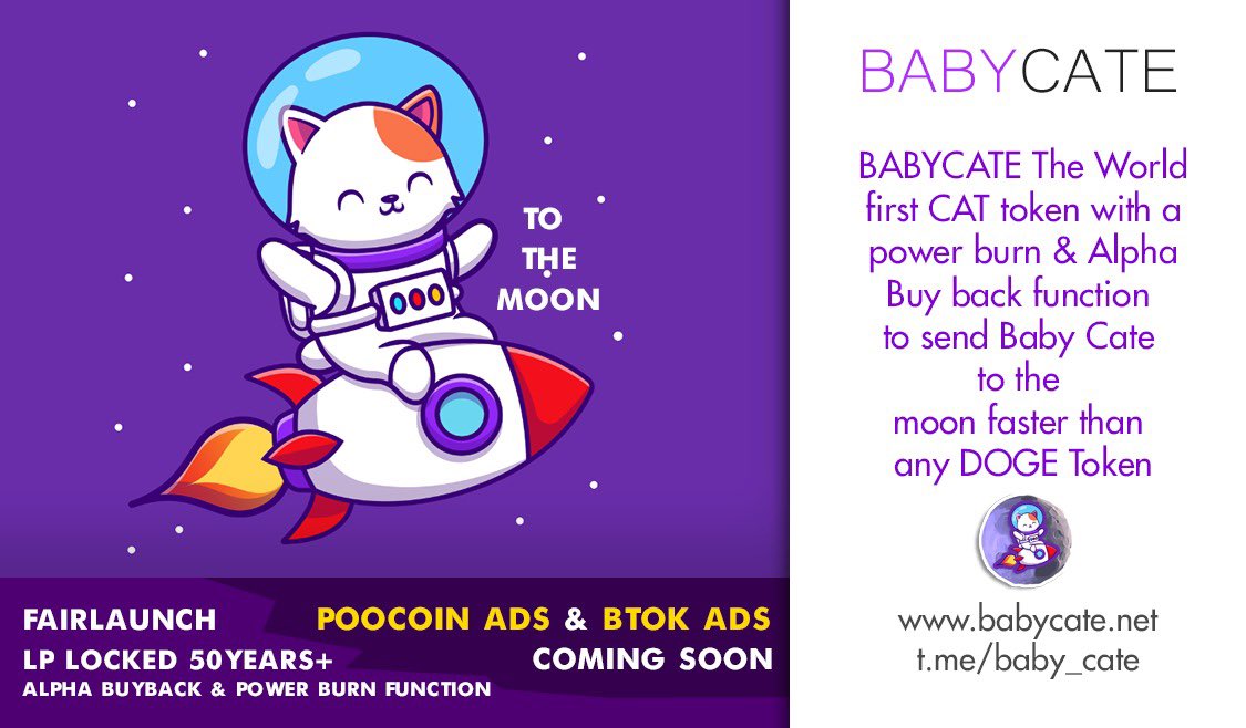 RomanSchav's tweet image. Time for Elon to adopt #babycate @babycate_1