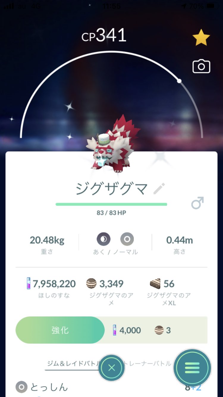 ろく Goフェスの色違い ダゲキは出たけどナゲキは出ず アンノーン 持ってるgは出たけどfは出ず でも 帽子ポニータと帽子ジグザグマは今回だけだろうから いい結果だったのかな ポケモンgo Goフェス 色違い T Co Agor6vjqbr Twitter