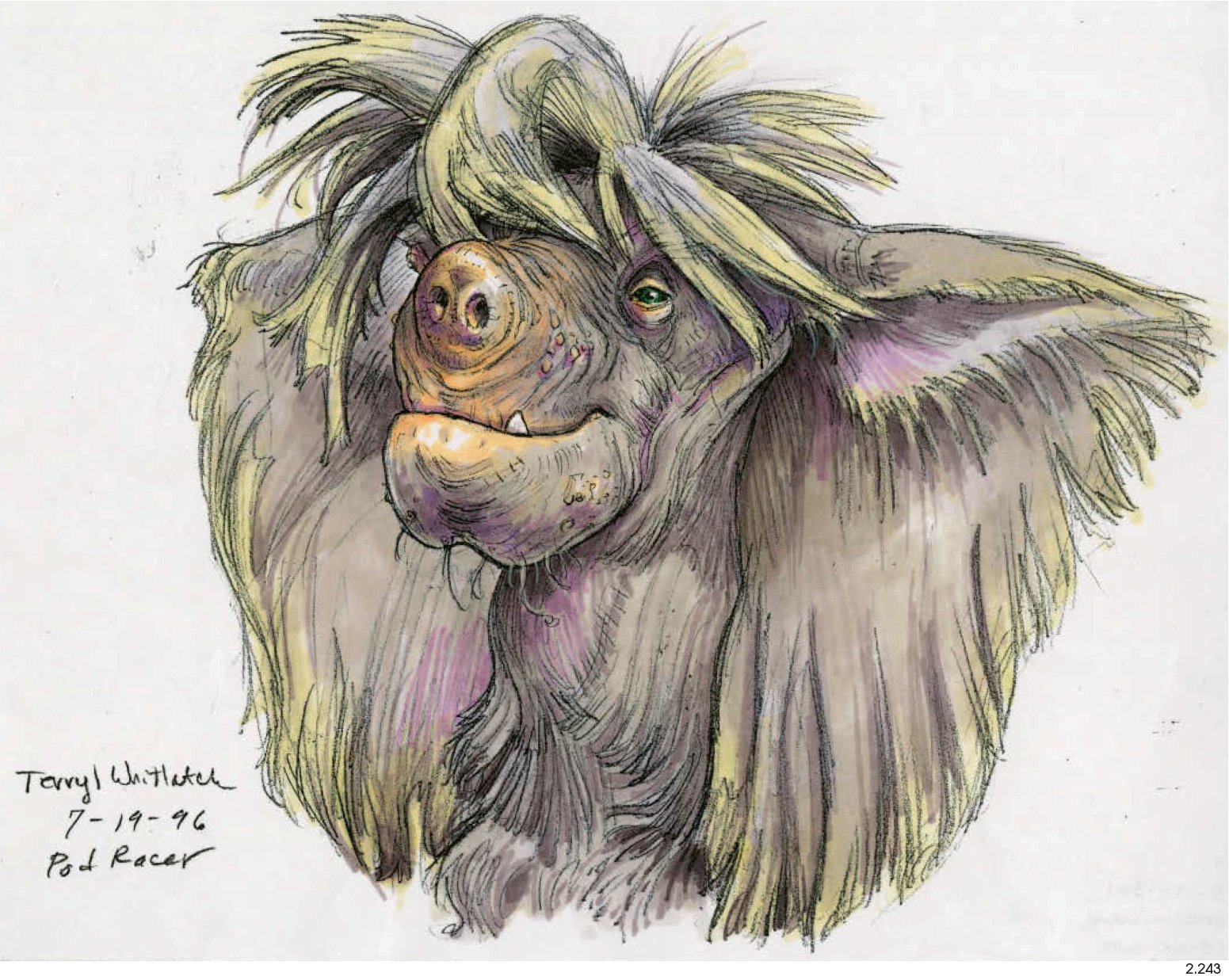 The Beauty of Star Wars Concept Art on X: Star Wars: The Phantom Menace  concept art by Terryl Whitlatch  / X